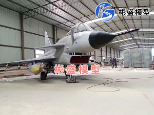 軍事飛機模型